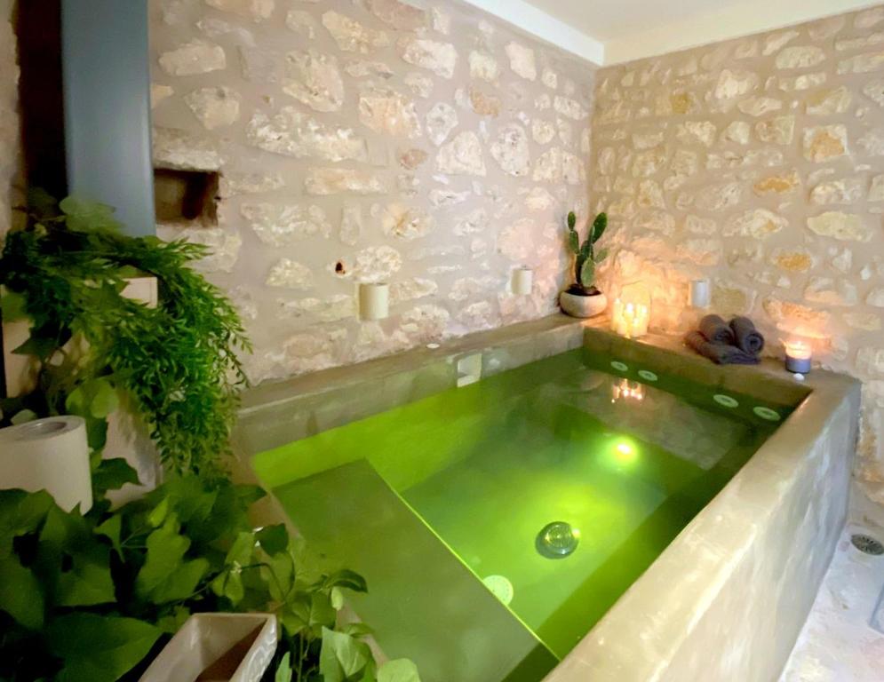a green bath tub in a bathroom with plants at Metropolis Nextdoor in Vathi
