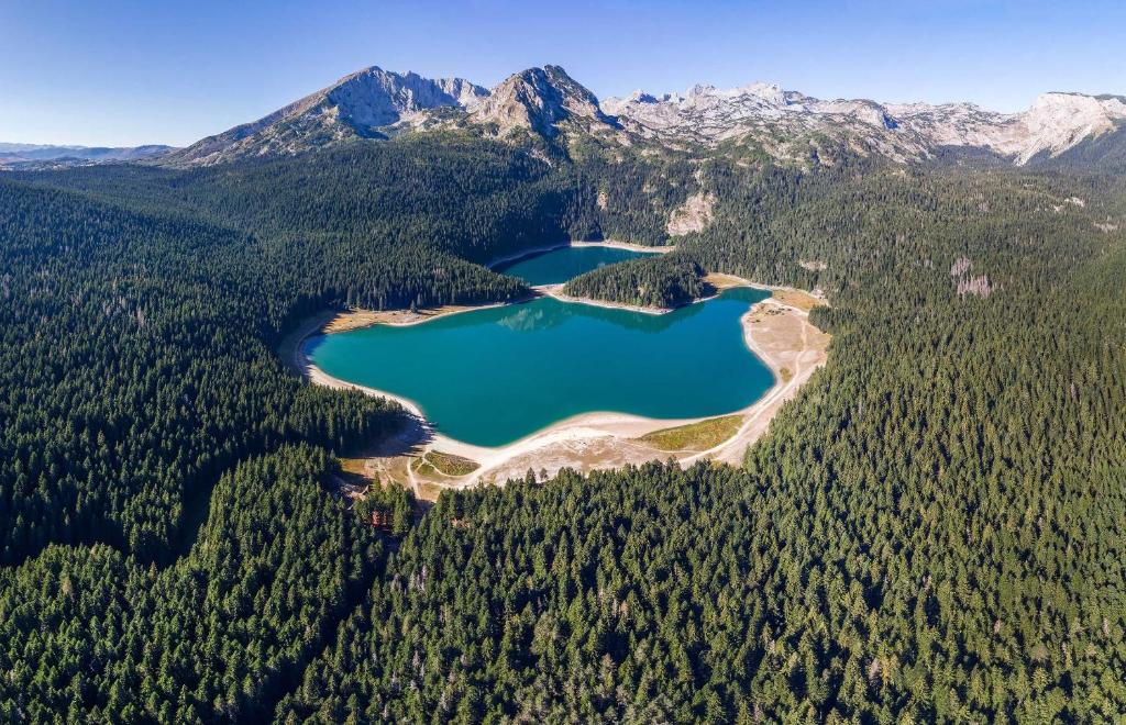 an aerial view of a lake in a forest at Sušica Apartman in Kovačka Dolina