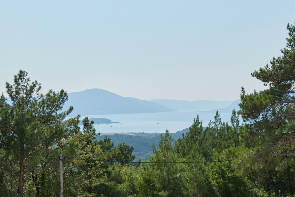 a view of a forest of trees with mountains in the background at Adriatic Heights Holiday Apartments in Kavač