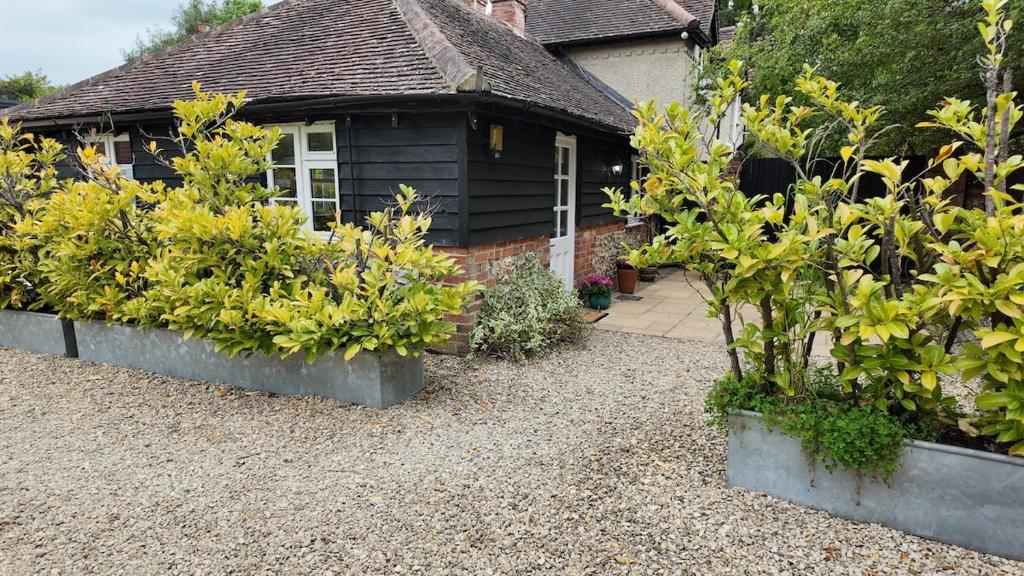 a house with some plants in front of a yard at Hallbottom Farm Cottage in Stokenchurch