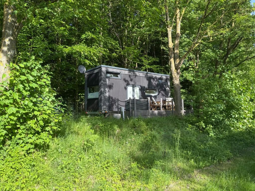 a black trailer sitting in the middle of a forest at Tiny House Hameln in Salzhemmendorf