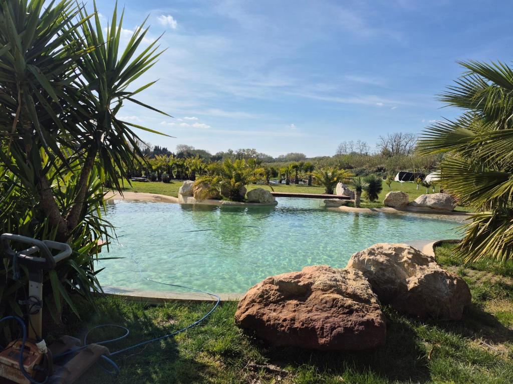 a pool of water with rocks in a park at Le Mas des Cerisiers JACUZZI et SAUNA inclus pour tous les logements in Avignon