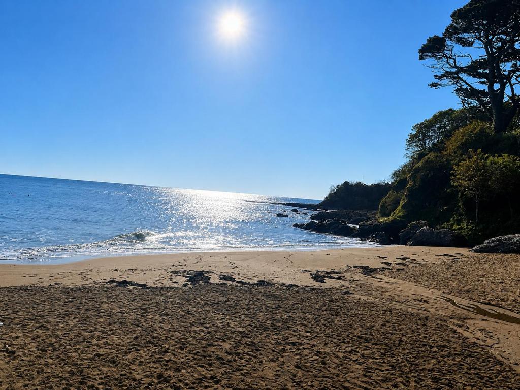 a sandy beach with a tree and the ocean at The Lodge, Whitethorns, Myrtleville in Myrtleville