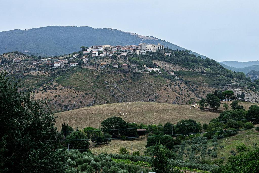 a town on top of a hill at laperladelfarfa in Castelnuovo di Farfa