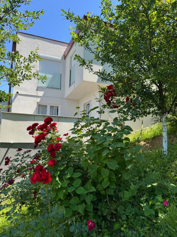 a house with red flowers in front of it at Villa Sunny Alley - Sunčani Sokak in Sarajevo