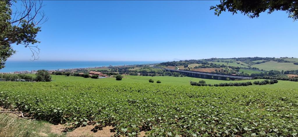 a green field with the ocean in the background at Casa vacanza del Cavallo in Senigallia