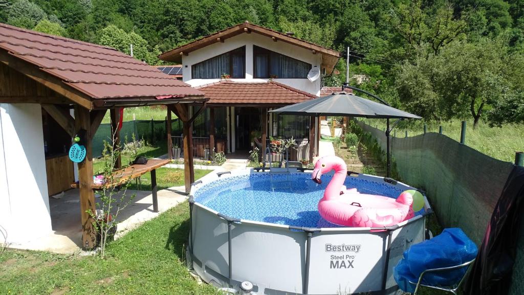 a large pool with a pink flamingo in a backyard at къща за гости Горски чар in Beli Osŭm