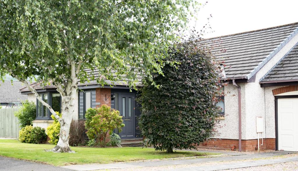 a house with a black door and a tree at Tomanour in Comrie