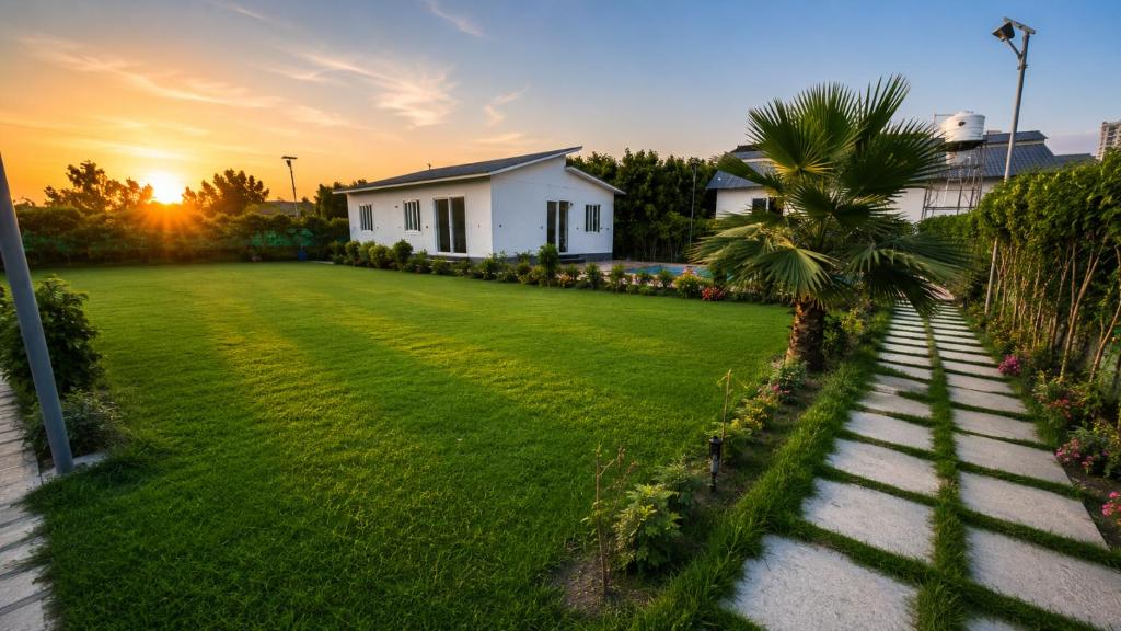 a yard with a house and a palm tree at Vijay Laxmi Farm House in Manjhāoli