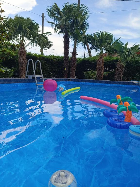 ein Schwimmbecken mit Wasserspielzeug und Palmen in der Unterkunft Casa Rita ΛΟΥΤΡΑ ΠΟΖΑΡ ΑΡΙΔΑΙΑ in Aridea