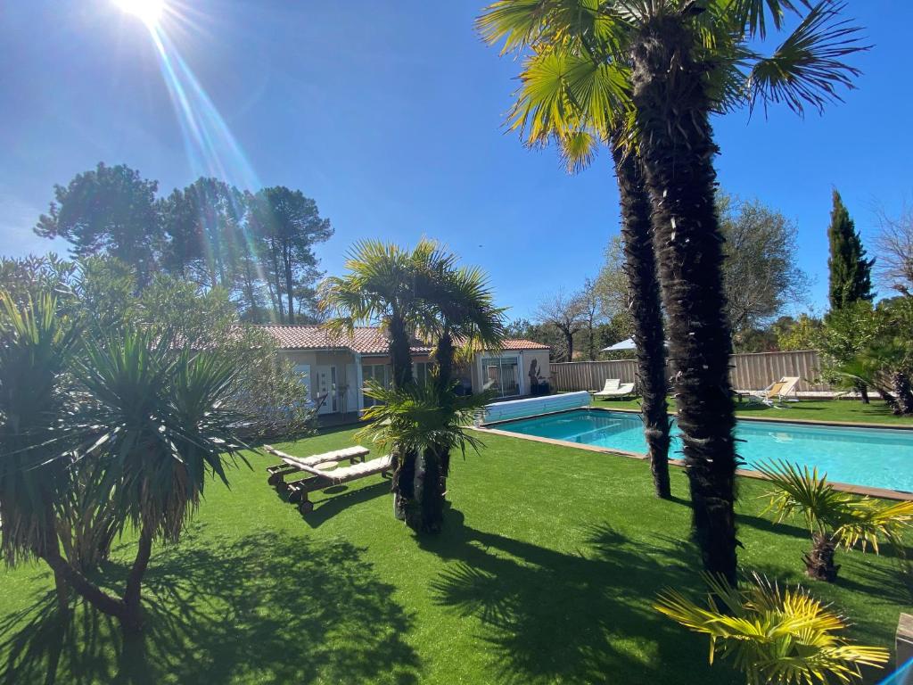 a yard with palm trees and a swimming pool at La Villa Herbert - Piscine chauffée, Spa, Vélos gratuits in Andernos-les-Bains