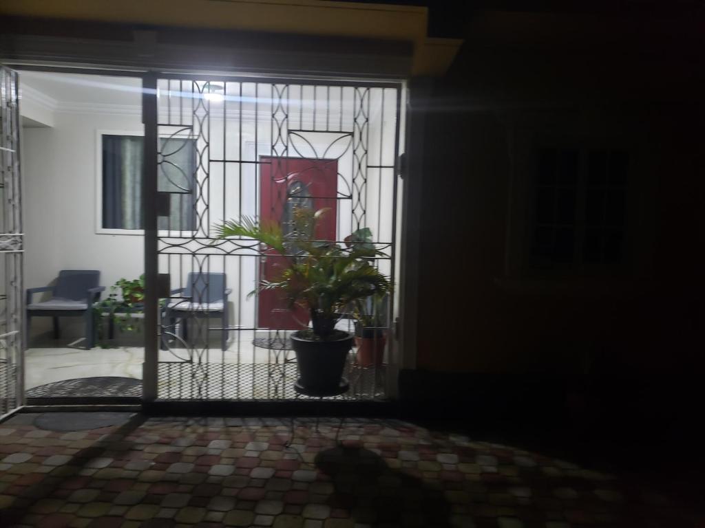 an open door with a potted plant in a room at Kami's serenity suit in Port Maria