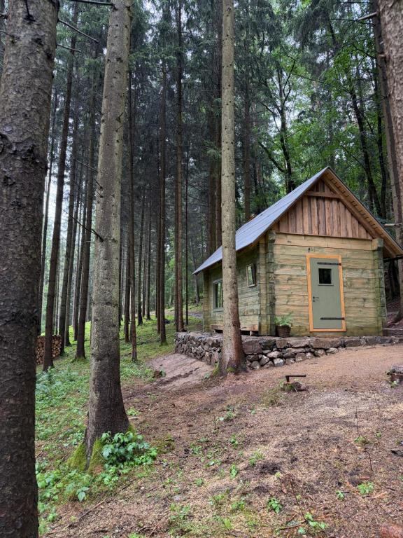 a small cabin in the woods with trees at Glamping Olivia v lese in Radíč