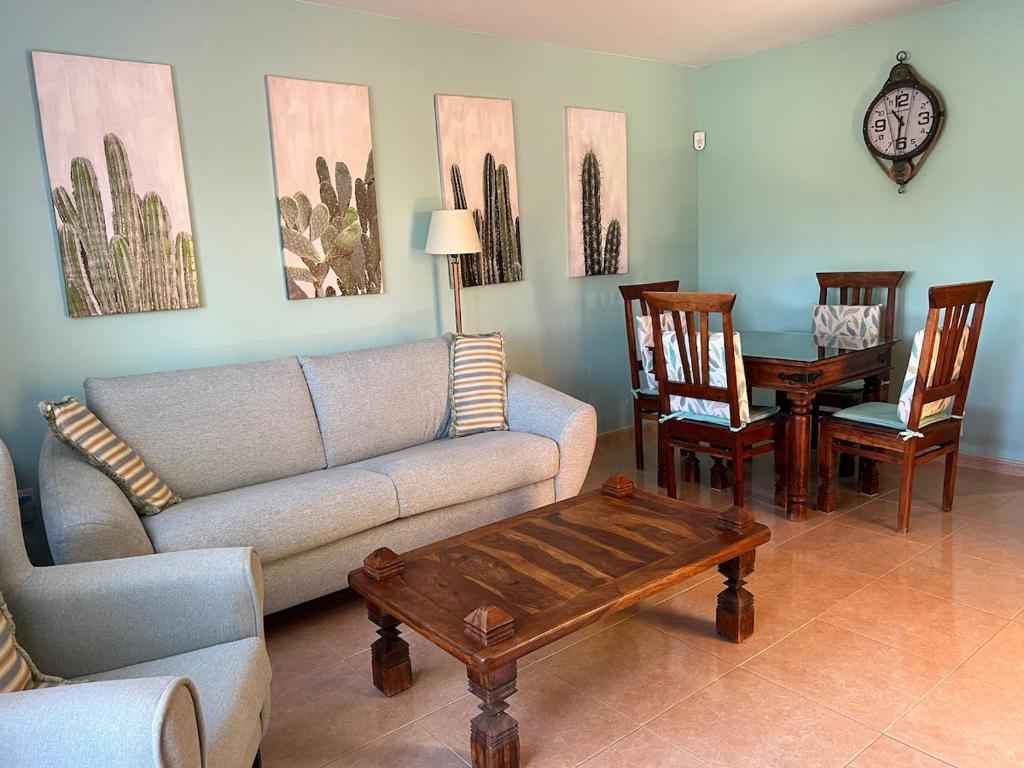 Oasis Bahia