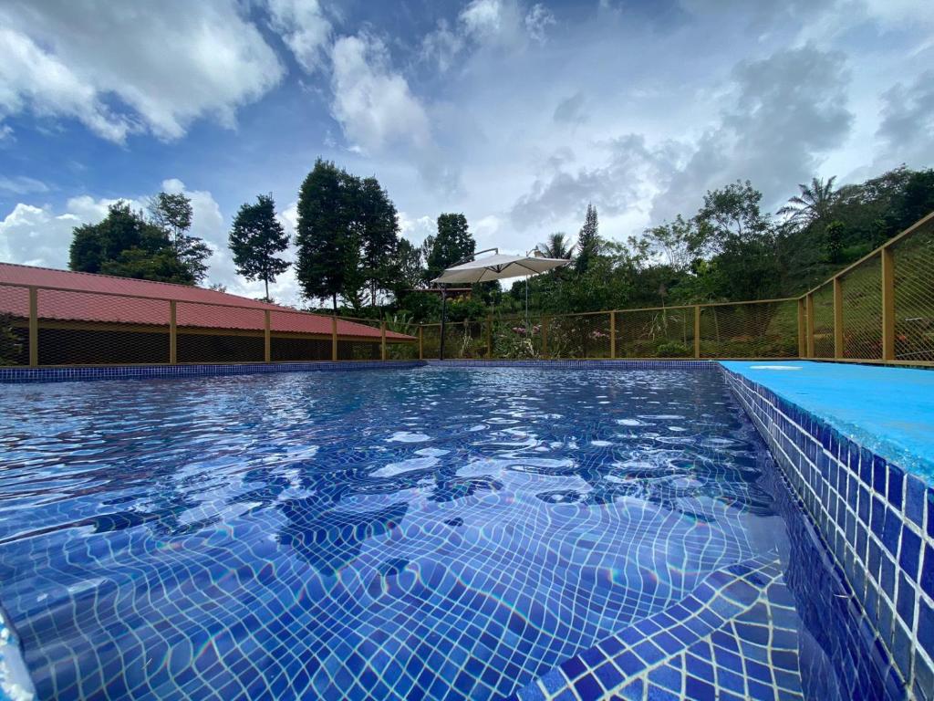 a large swimming pool with blue water at Quinta La Carmencita in Santa Elena