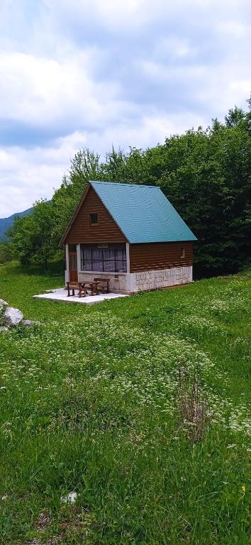 a building with a blue roof in a field at -DO- Gradac in Šavnik