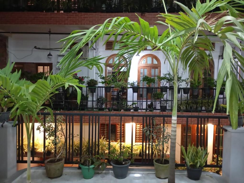 a courtyard with palm trees in front of a building at East HOME Kalmunai in Kalmunai