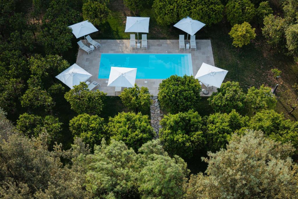 an overhead view of a pool in a forest with umbrellas at Villa Tuzzo in Lecce