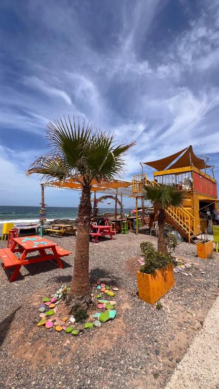 a beach with two palm trees and a building at Moana Guest House in Tamraght Ouzdar