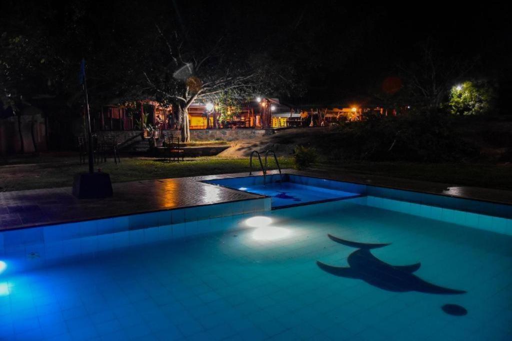 a swimming pool at night with a shark painted on it at Vintara Wild Hambanthota in Hambantota