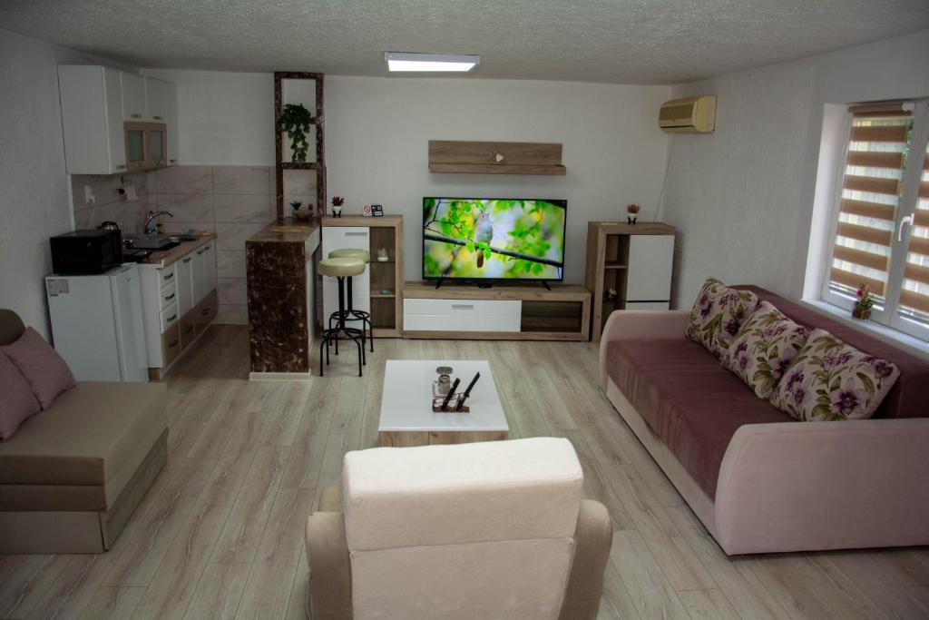a living room with a couch and a tv at Zeleni dom in Brestovac