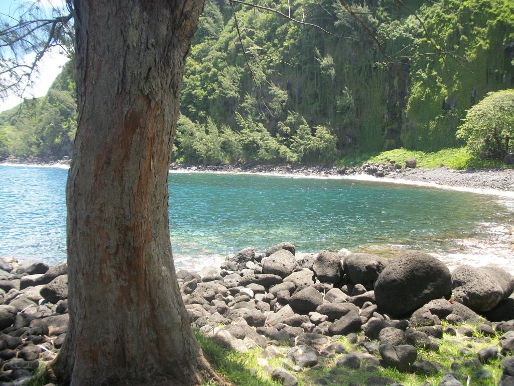 Paesaggio naturale nelle vicinanze del bed & breakfast