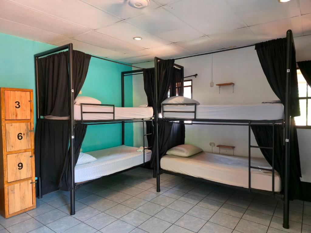 Poco a Poco Hostel - Bed In 10-Bed Mixed Dormitory Room