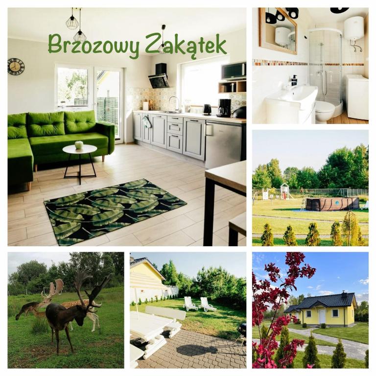 a collage of photos of a kitchen and a house at Brzozowy Zakątek in Dąbki