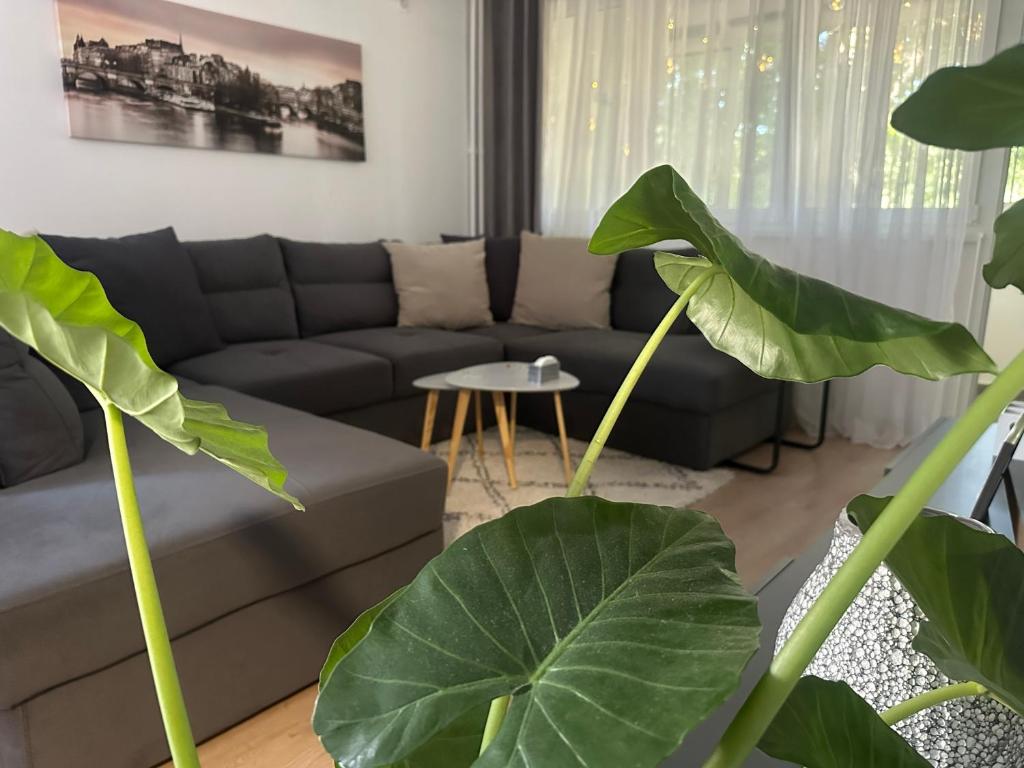 a living room with a couch and some plants at Juga lux apartment in Fontana