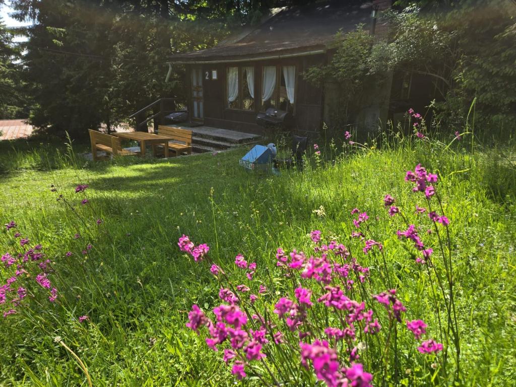 a field of pink flowers in front of a cabin at Chata 2 na Poľane in Hriňová