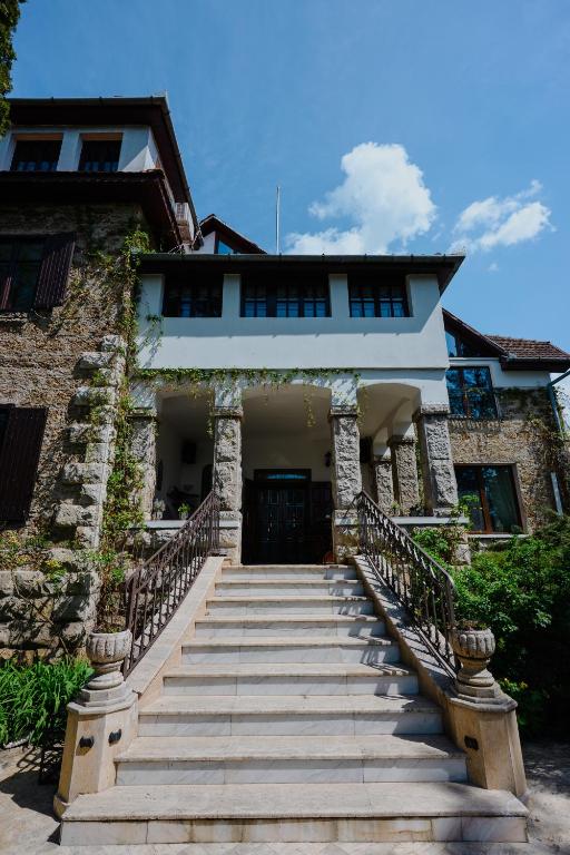 a building with stairs leading up to it at Vila Castelul Maria in Banpotoc