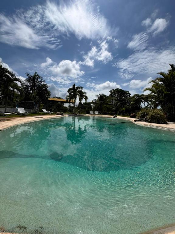 a large pool of blue water with palm trees at El Rincon De Lupe in San Carlos