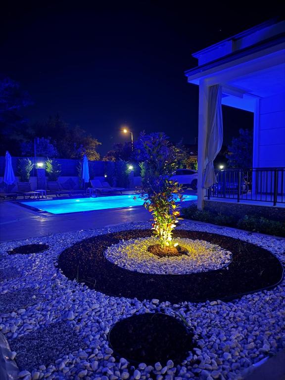 a garden at night with a tree in the middle at minta suits in Kemer