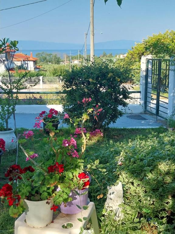 a garden with flowers in pots on the grass at Vila PANORAMA in Karianí