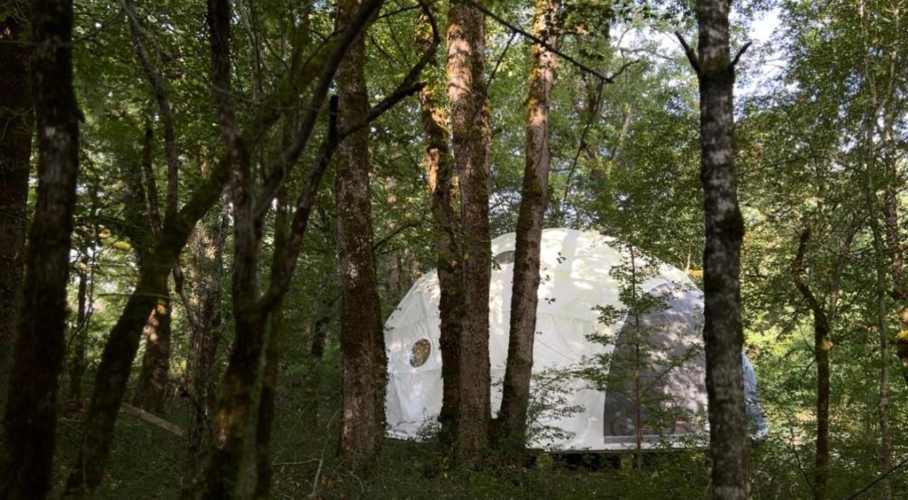 a white tent in the middle of the woods at Dôme en forêt in Saint-Just