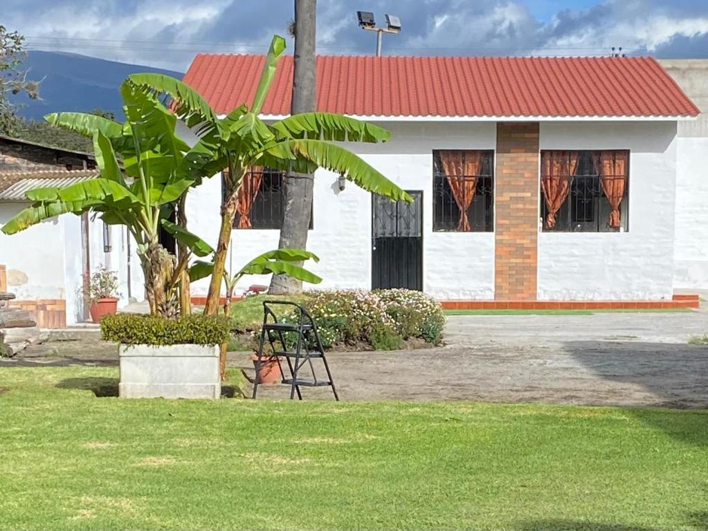 a house with a palm tree in front of it at Cabañas San Carlos - Puembo Centro in Puembo