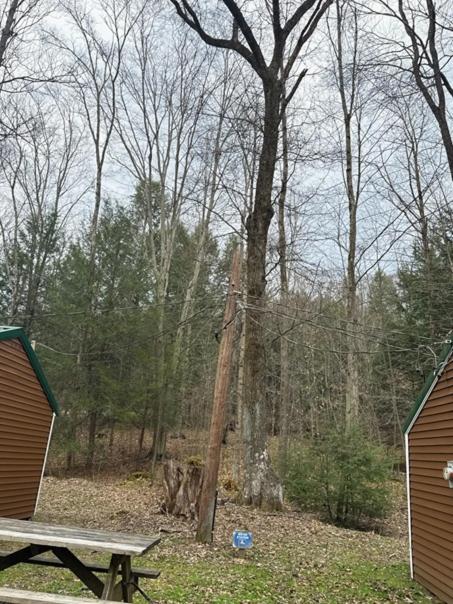 yellow creek campground - Casa De Un Dormitorio