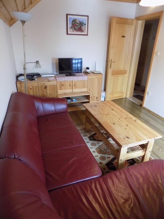 TV a/nebo společenská místnost v ubytování Apartment Zeleni dragulj Pohorje