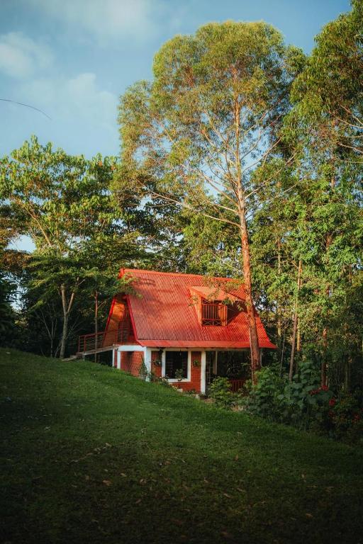 a house with a red roof on a hill at Cabaña Moyobamba in Moyobamba