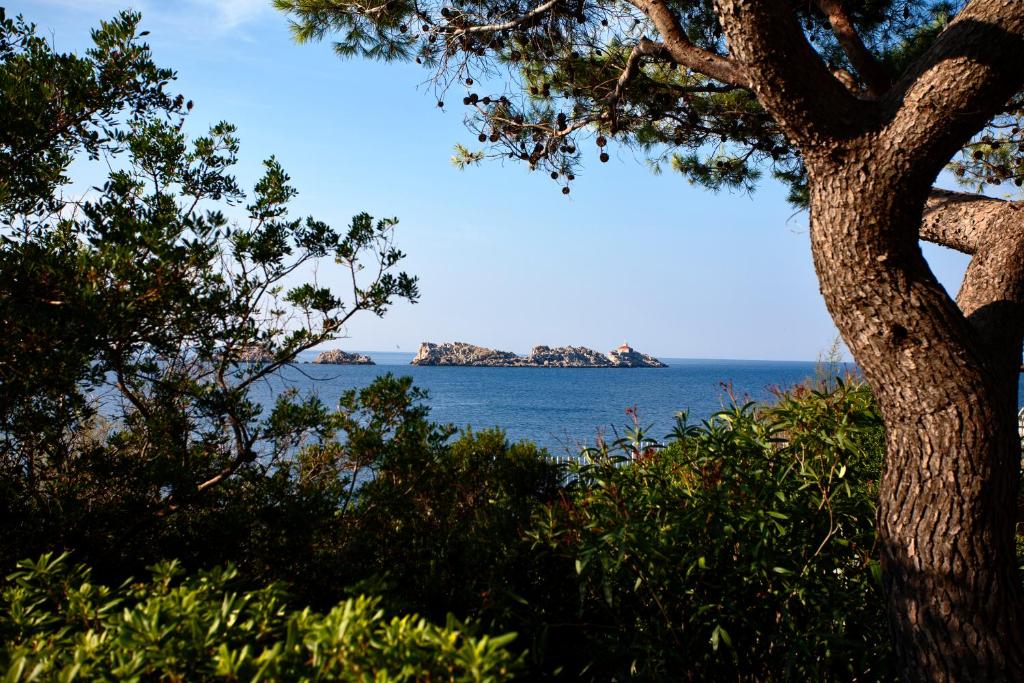 an island in the water with a tree at Royal Neptun Hotel in Dubrovnik