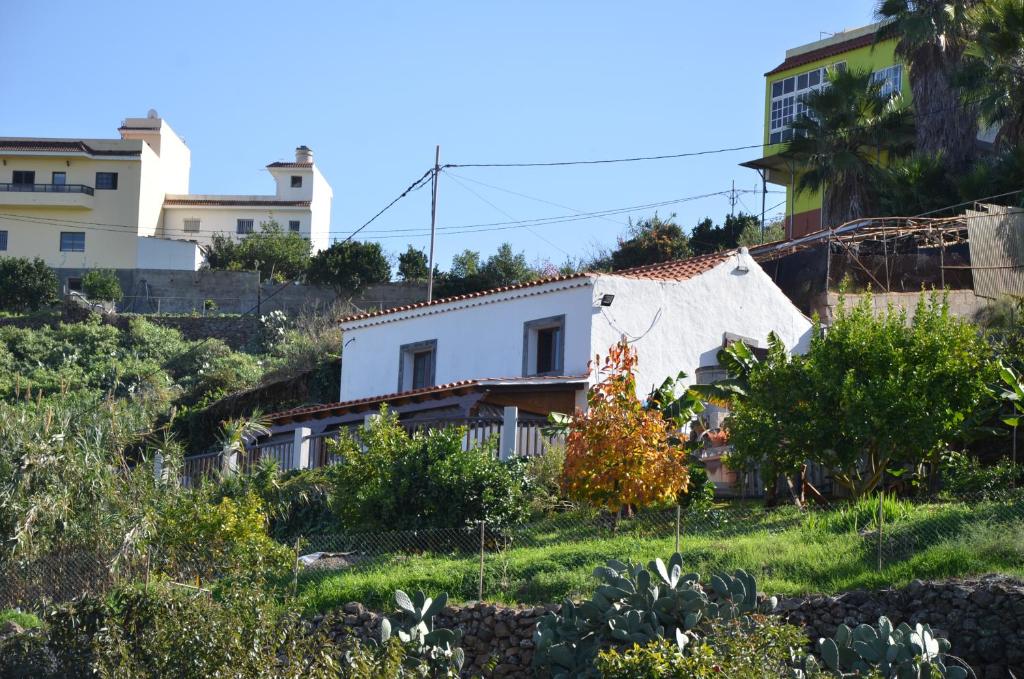 a house on the side of a hill at La Berrera in Firgas