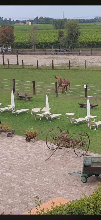 a group of planes on a field with a horse at Ranch Borgo Bellavita in Fossalta Maggiore