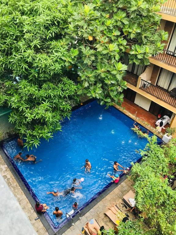 an overhead view of people swimming in a pool with trees at ROYAL KASHYAPA - Habarana in Habarana