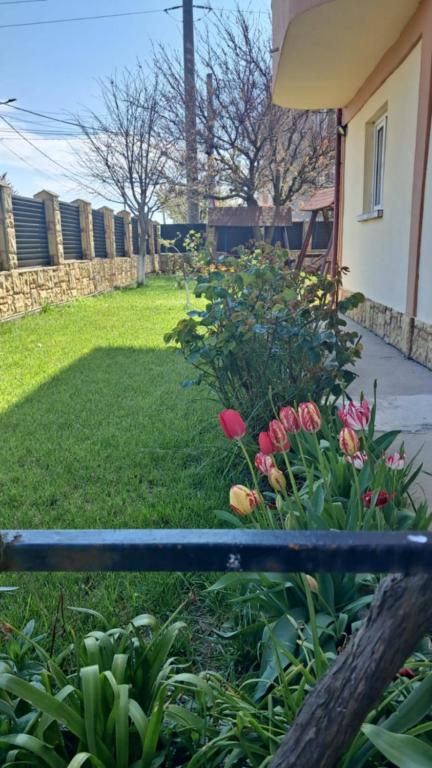 a garden with pink flowers and a fence at Vila Coralia in Schitul
