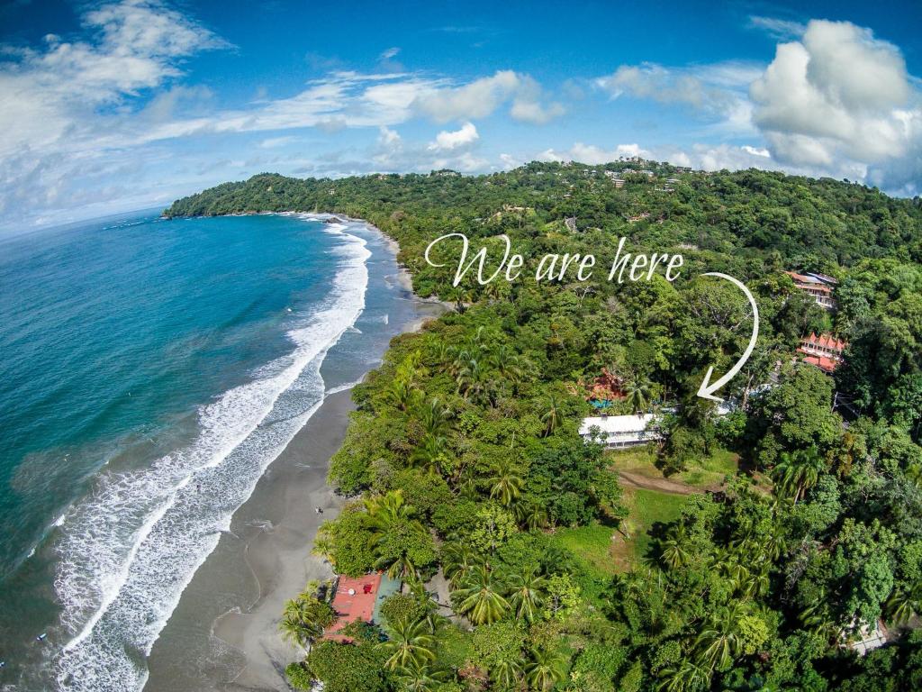 an aerial view of a beach with the words we are here at Oceanfront Hotel Verde Mar direct access to the beach in Manuel Antonio