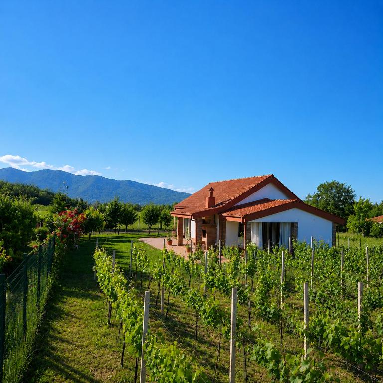 a house in the middle of a vineyard at Villa Lazarina Vineyard Views in Kvareli
