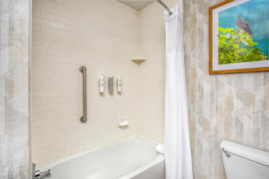 Hampton Inn & Suites - DeLand photo