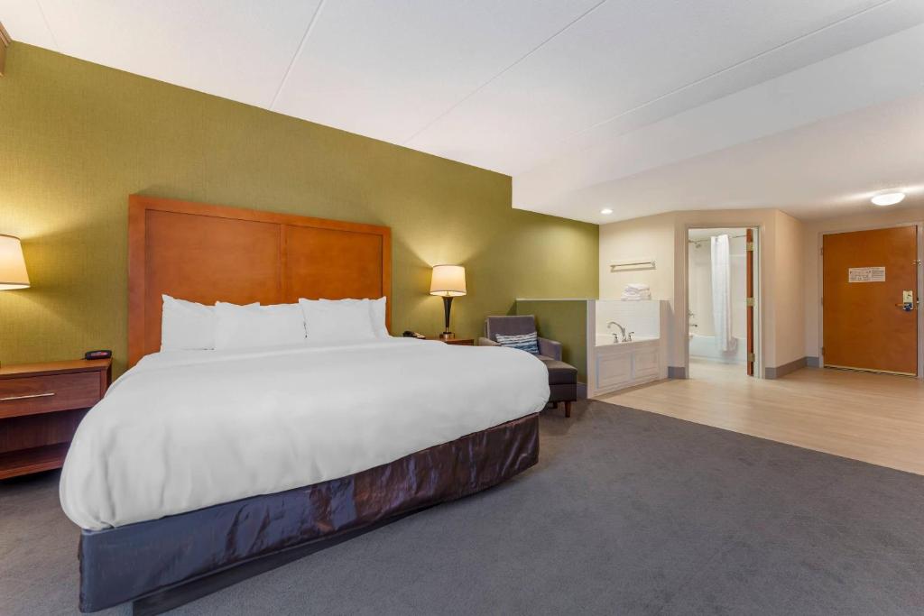 Comfort Inn & Suites LaVale - Cumberland - Kamer Met Kingsize Bed En Spabad – Niet-Rokers