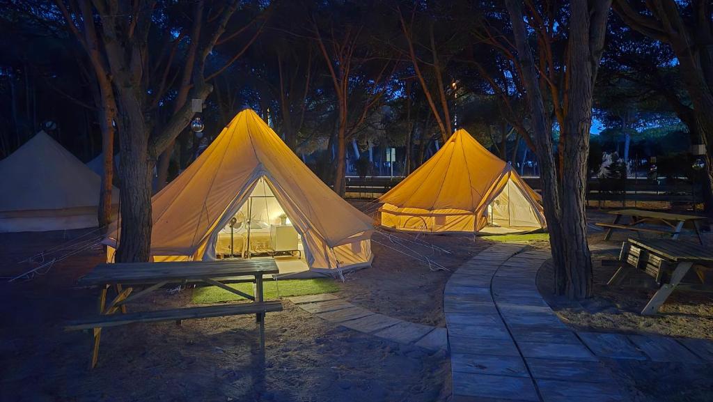 two tents in a park at night with a bench at Camping Playa Taray in Islantilla