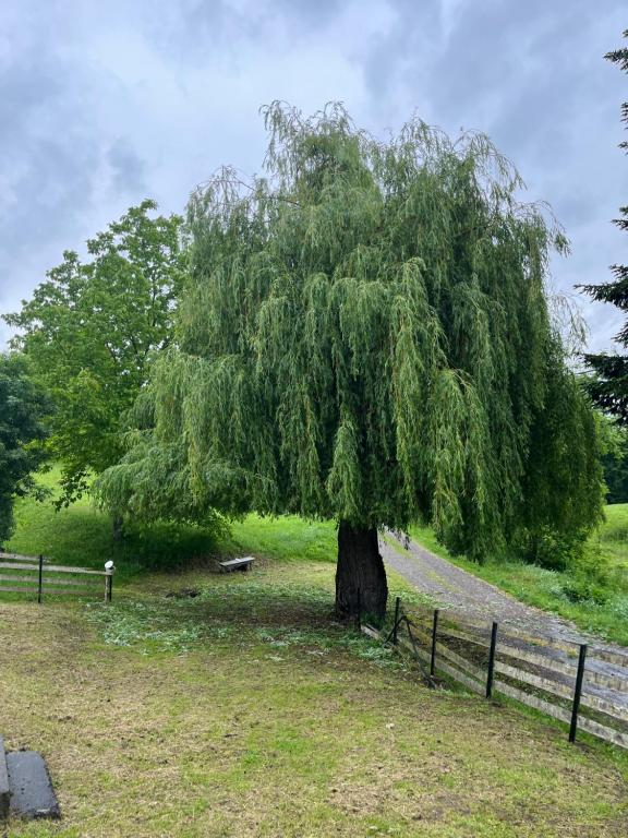 a tree in a field next to a fence at Eko Haus Tesla in Srnava